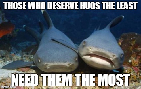 Hug a Shark Today | THOSE WHO DESERVE HUGS THE LEAST NEED THEM THE MOST | image tagged in empathetic shark | made w/ Imgflip meme maker