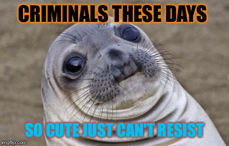 Awkward Moment Sealion | CRIMINALS THESE DAYS SO CUTE JUST CAN'T RESIST | image tagged in memes,awkward moment sealion | made w/ Imgflip meme maker