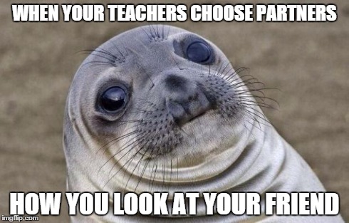 Awkward Moment Sealion | WHEN YOUR TEACHERS CHOOSE PARTNERS HOW YOU LOOK AT YOUR FRIEND | image tagged in memes,awkward moment sealion | made w/ Imgflip meme maker