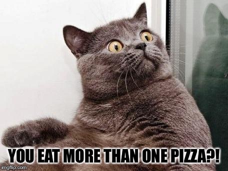 surprised cat | YOU EAT MORE THAN ONE PIZZA?! | image tagged in surprised cat | made w/ Imgflip meme maker