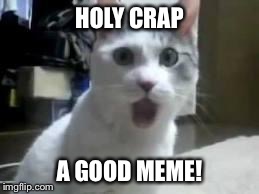 omg cat 2 | HOLY CRAP A GOOD MEME! | image tagged in omg cat 2 | made w/ Imgflip meme maker