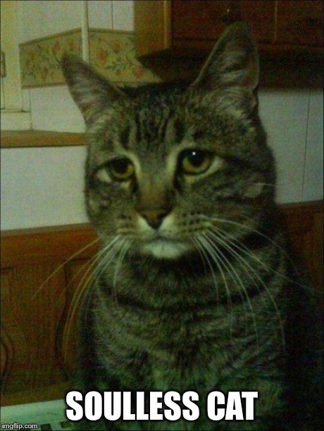 depressed cat | SOULLESS CAT | image tagged in depressed cat | made w/ Imgflip meme maker