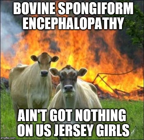 Mad Cow took it a little too far | BOVINE SPONGIFORM ENCEPHALOPATHY AIN'T GOT NOTHING ON US JERSEY GIRLS | image tagged in memes,evil cows | made w/ Imgflip meme maker