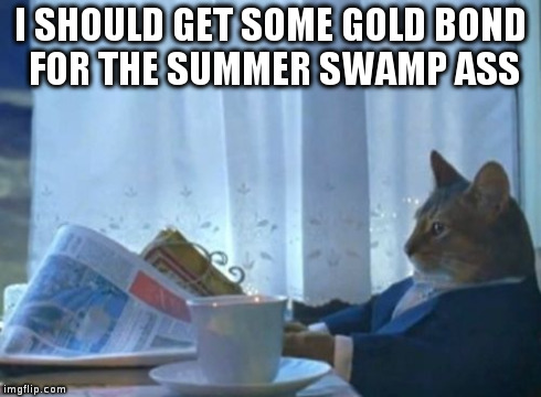 I Should Buy A Boat Cat | I SHOULD GET SOME GOLD BOND FOR THE SUMMER SWAMP ASS | image tagged in memes,i should buy a boat cat | made w/ Imgflip meme maker