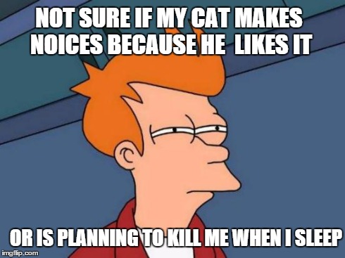 Futurama Fry Meme | NOT SURE IF MY CAT MAKES NOICES BECAUSE HE  LIKES IT OR IS PLANNING TO KILL ME WHEN I SLEEP | image tagged in memes,futurama fry | made w/ Imgflip meme maker