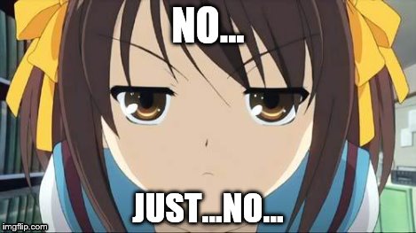 Haruhi stare | NO... JUST...NO... | image tagged in haruhi stare | made w/ Imgflip meme maker