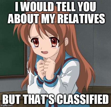 Mikuru Blush | I WOULD TELL YOU ABOUT MY RELATIVES BUT THAT'S CLASSIFIED | image tagged in mikuru blush | made w/ Imgflip meme maker