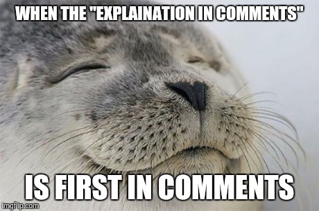 Satisfied Seal | WHEN THE "EXPLAINATION IN COMMENTS" IS FIRST IN COMMENTS | image tagged in memes,satisfied seal,AdviceAnimals | made w/ Imgflip meme maker