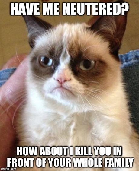 Grumpy Cat | HAVE ME NEUTERED? HOW ABOUT I KILL YOU IN FRONT OF YOUR WHOLE FAMILY | image tagged in memes,grumpy cat | made w/ Imgflip meme maker