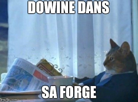 I Should Buy A Boat Cat Meme | DOWINE DANS SA FORGE | image tagged in memes,i should buy a boat cat | made w/ Imgflip meme maker