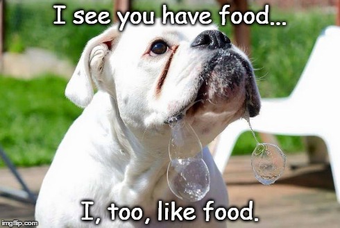 Bubbles! | I see you have food... I, too, like food. | image tagged in dogs,funny,memes,boxer | made w/ Imgflip meme maker