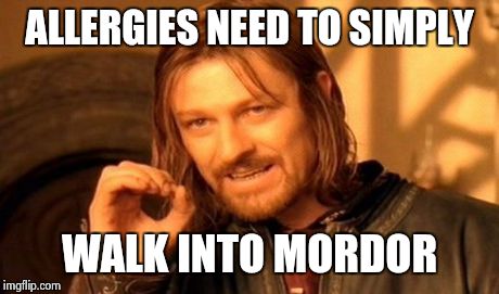 Allergies can walk into Mordor | ALLERGIES NEED TO SIMPLY WALK INTO MORDOR | image tagged in memes,one does not simply,funny,spring,allergies | made w/ Imgflip meme maker