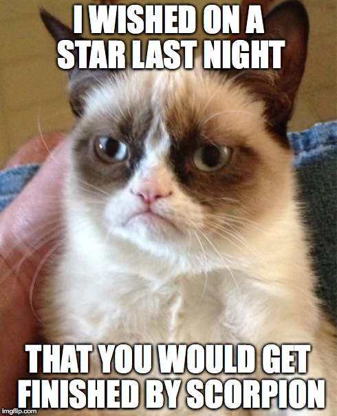 Grumpy Cat | I WISHED ON A STAR LAST NIGHT THAT YOU WOULD GET FINISHED BY SCORPION | image tagged in memes,grumpy cat | made w/ Imgflip meme maker