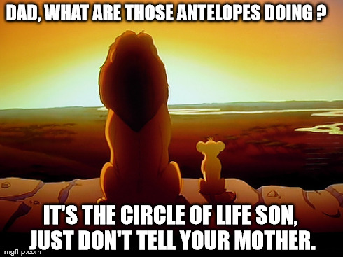 Lion King Meme | DAD, WHAT ARE THOSE ANTELOPES DOING ? IT'S THE CIRCLE OF LIFE SON, JUST DON'T TELL YOUR MOTHER. | image tagged in memes,lion king | made w/ Imgflip meme maker