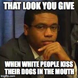 FACES | THAT LOOK YOU GIVE WHEN WHITE PEOPLE KISS THEIR DOGS IN THE MOUTH | image tagged in that look | made w/ Imgflip meme maker