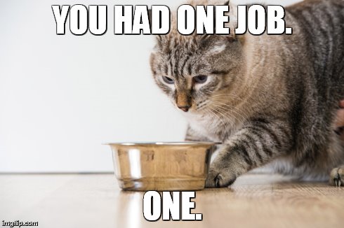 funny cat | YOU HAD ONE JOB. ONE. | image tagged in cats | made w/ Imgflip meme maker