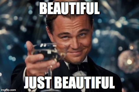 Leonardo Dicaprio Cheers Meme | BEAUTIFUL JUST BEAUTIFUL | image tagged in memes,leonardo dicaprio cheers | made w/ Imgflip meme maker