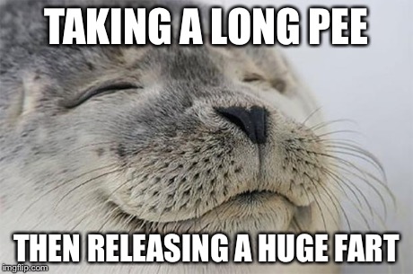 Satisfied Seal Meme | TAKING A LONG PEE THEN RELEASING A HUGE FART | image tagged in memes,satisfied seal | made w/ Imgflip meme maker