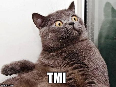 surprised cat | TMI | image tagged in surprised cat | made w/ Imgflip meme maker