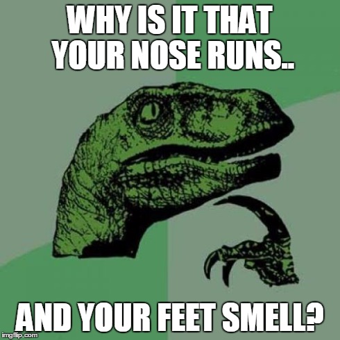 Philosoraptor | WHY IS IT THAT YOUR NOSE RUNS.. AND YOUR FEET SMELL? | image tagged in memes,philosoraptor | made w/ Imgflip meme maker