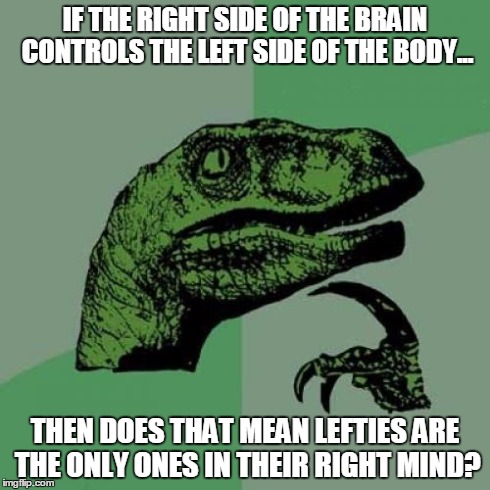 Philosoraptor | IF THE RIGHT SIDE OF THE BRAIN CONTROLS THE LEFT SIDE OF THE BODY... THEN DOES THAT MEAN LEFTIES ARE THE ONLY ONES IN THEIR RIGHT MIND? | image tagged in memes,philosoraptor | made w/ Imgflip meme maker