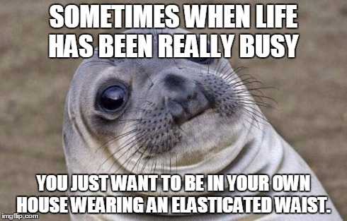 Awkward Moment Sealion Meme | SOMETIMES WHEN LIFE HAS BEEN REALLY BUSY YOU JUST WANT TO BE IN YOUR OWN HOUSE WEARING AN ELASTICATED WAIST. | image tagged in memes,awkward moment sealion | made w/ Imgflip meme maker
