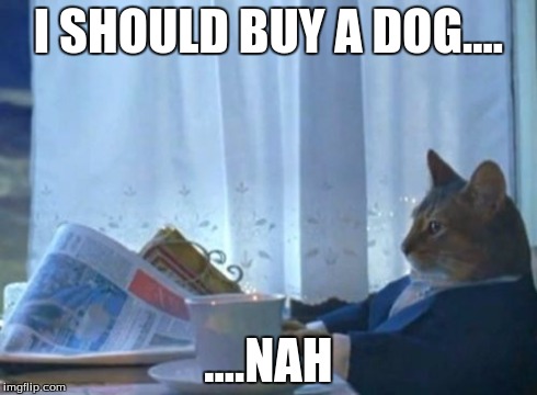I Should Buy A Boat Cat | I SHOULD BUY A DOG.... ....NAH | image tagged in memes,i should buy a boat cat | made w/ Imgflip meme maker