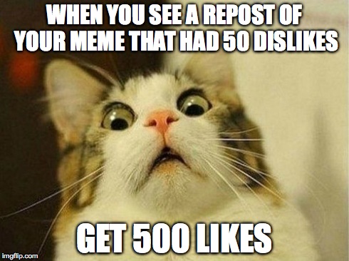 mmmmmm..... | WHEN YOU SEE A REPOST OF YOUR MEME THAT HAD 50 DISLIKES GET 500 LIKES | image tagged in memes,scared cat | made w/ Imgflip meme maker