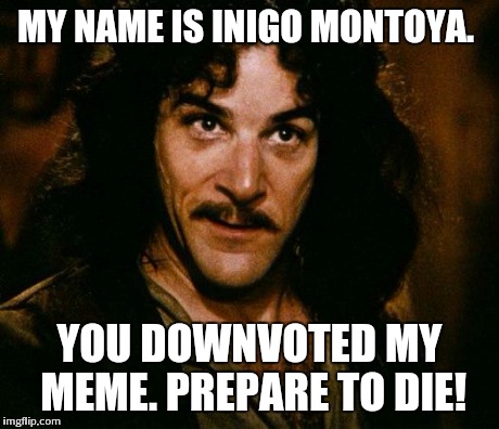 Inigo Montoya | MY NAME IS INIGO MONTOYA. YOU DOWNVOTED MY MEME. PREPARE TO DIE! | image tagged in memes,inigo montoya | made w/ Imgflip meme maker