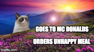 GOES TO MC DONALDS ORDERS UNHAPPYMEAL | image tagged in grumpy cat 1,mcdonalds | made w/ Imgflip meme maker