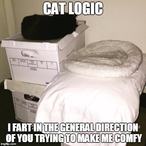 CAT LOGIC I FART IN THE GENERAL DIRECTION OF YOU TRYING TO MAKE ME COMFY | image tagged in glados | made w/ Imgflip meme maker