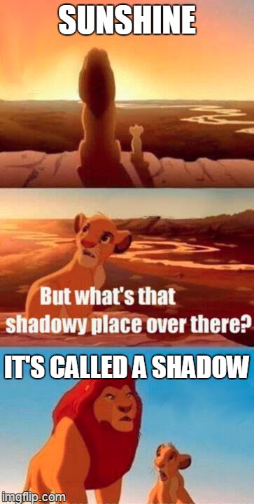 he found it | SUNSHINE IT'S CALLED A SHADOW | image tagged in lion king light touches shadowy place kek,memes,simba shadowy place | made w/ Imgflip meme maker