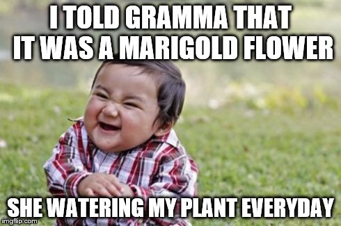 Evil Toddler | I TOLD GRAMMA THAT IT WAS A MARIGOLD FLOWER SHE WATERING MY PLANT EVERYDAY | image tagged in memes,evil toddler | made w/ Imgflip meme maker