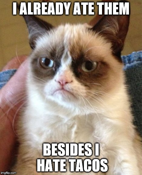 Grumpy Cat Meme | I ALREADY ATE THEM BESIDES I HATE TACOS | image tagged in memes,grumpy cat | made w/ Imgflip meme maker