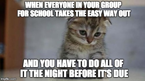 Sad kitten | WHEN EVERYONE IN YOUR GROUP FOR SCHOOL TAKES THE EASY WAY OUT AND YOU HAVE TO DO ALL OF IT THE NIGHT BEFORE IT'S DUE | image tagged in sad kitten | made w/ Imgflip meme maker