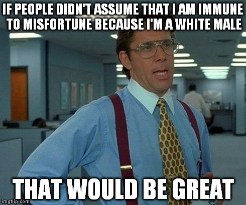 That Would Be Great | IF PEOPLE DIDN'T ASSUME THAT I AM IMMUNE TO MISFORTUNE BECAUSE I'M A WHITE MALE THAT WOULD BE GREAT | image tagged in memes,that would be great | made w/ Imgflip meme maker