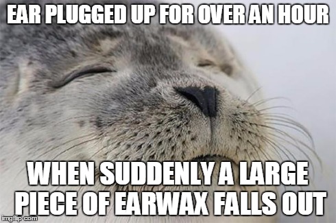 Satisfied Seal Meme | EAR PLUGGED UP FOR OVER AN HOUR WHEN SUDDENLY A LARGE PIECE OF EARWAX FALLS OUT | image tagged in memes,satisfied seal | made w/ Imgflip meme maker