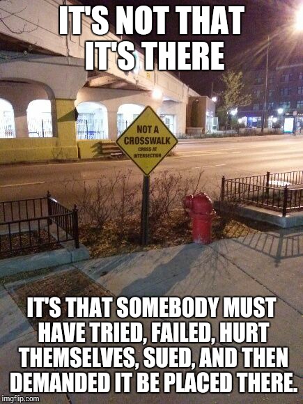 IT'S NOT THAT IT'S THERE IT'S THAT SOMEBODY MUST HAVE TRIED, FAILED, HURT THEMSELVES, SUED, AND THEN DEMANDED IT BE PLACED THERE. | image tagged in rp crosswalk | made w/ Imgflip meme maker