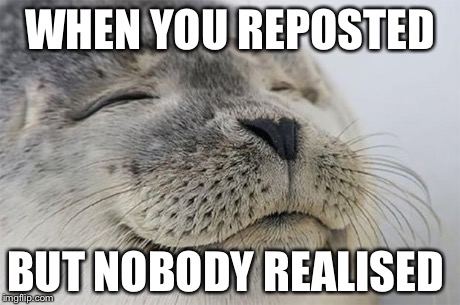 Satisfied Seal | WHEN YOU REPOSTED BUT NOBODY REALISED | image tagged in memes,satisfied seal | made w/ Imgflip meme maker