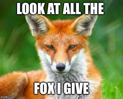 Fox | LOOK AT ALL THE FOX I GIVE | image tagged in fox | made w/ Imgflip meme maker