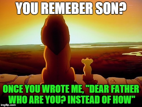 Lion King Meme | YOU REMEBER SON? ONCE YOU WROTE ME, "DEAR FATHER WHO ARE YOU? INSTEAD OF HOW" | image tagged in memes,lion king | made w/ Imgflip meme maker