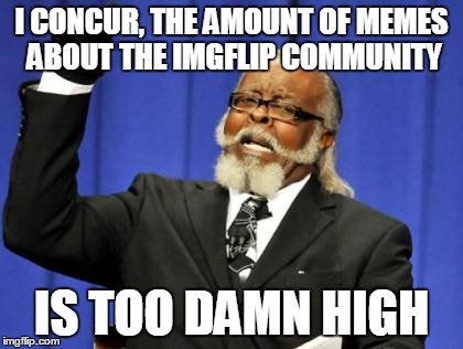 Too Damn High Meme | I CONCUR, THE AMOUNT OF MEMES ABOUT THE IMGFLIP COMMUNITY IS TOO DAMN HIGH | image tagged in memes,too damn high | made w/ Imgflip meme maker