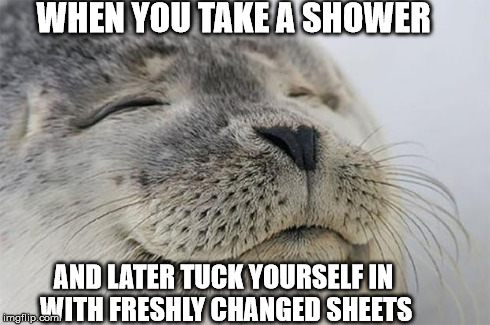 Clean Fantasy | WHEN YOU TAKE A SHOWER AND LATER TUCK YOURSELF IN WITH FRESHLY CHANGED SHEETS | image tagged in memes,satisfied seal | made w/ Imgflip meme maker