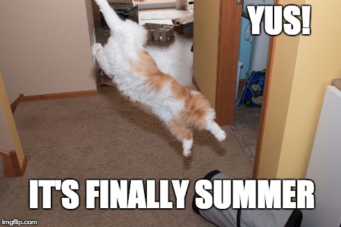 YUS! IT'S FINALLY SUMMER | image tagged in hamish | made w/ Imgflip meme maker