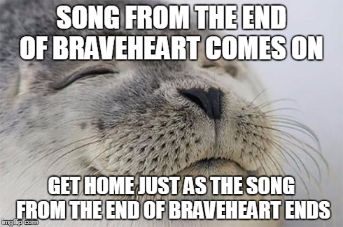 Satisfied Seal | SONG FROM THE END OF BRAVEHEART COMES ON GET HOME JUST AS THE SONG FROM THE END OF BRAVEHEART ENDS | image tagged in memes,satisfied seal | made w/ Imgflip meme maker