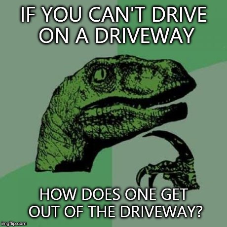 Philosoraptor Meme | IF YOU CAN'T DRIVE ON A DRIVEWAY HOW DOES ONE GET OUT OF THE DRIVEWAY? | image tagged in memes,philosoraptor | made w/ Imgflip meme maker