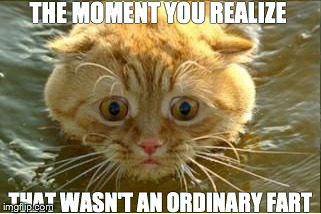 Surprise | THE MOMENT YOU REALIZE THAT WASN'T AN ORDINARY FART | image tagged in oops | made w/ Imgflip meme maker