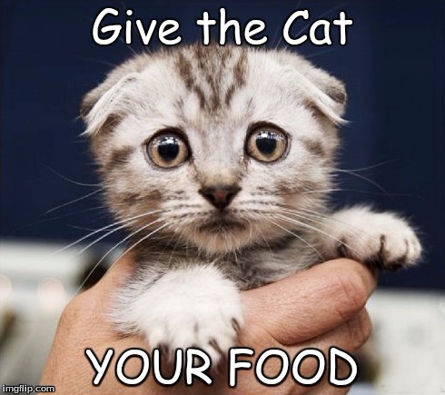 Give in to my power | Give the Cat YOUR FOOD | image tagged in sad kitten | made w/ Imgflip meme maker