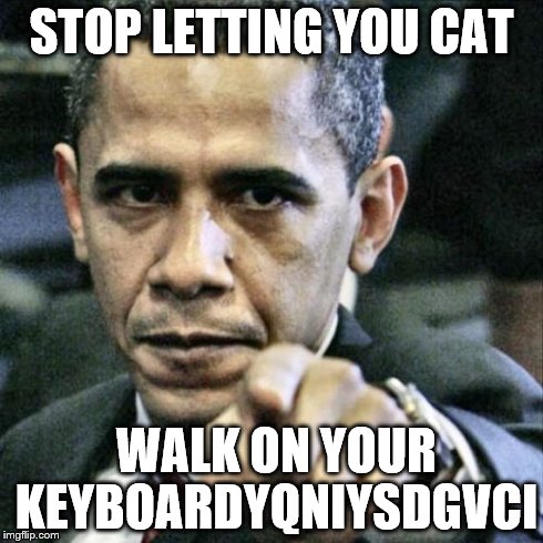 Pissed Off Obama | STOP LETTING YOU CAT WALK ON YOUR KEYBOARDYQNIYSDGVCI | image tagged in memes,pissed off obama | made w/ Imgflip meme maker