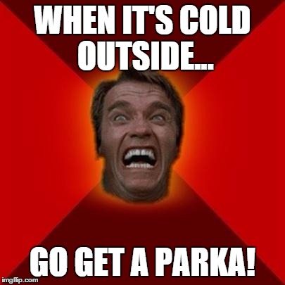 Arnold meme | WHEN IT'S COLD OUTSIDE... GO GET A PARKA! | image tagged in arnold meme | made w/ Imgflip meme maker